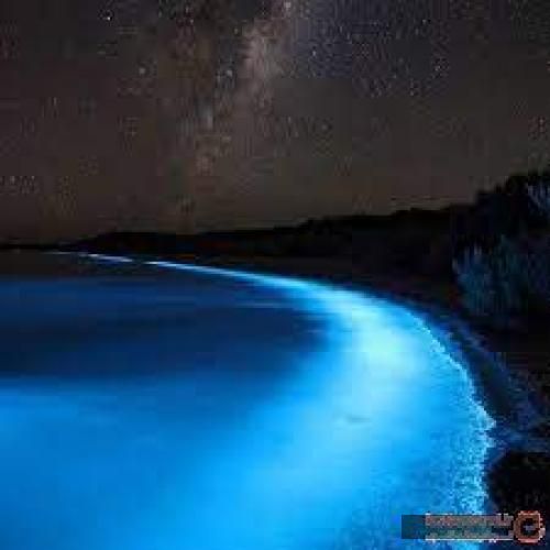 دانلود آهنگ هرچی که دیدم بسمه میرم من خسته نیستم خود خستگیم شایع