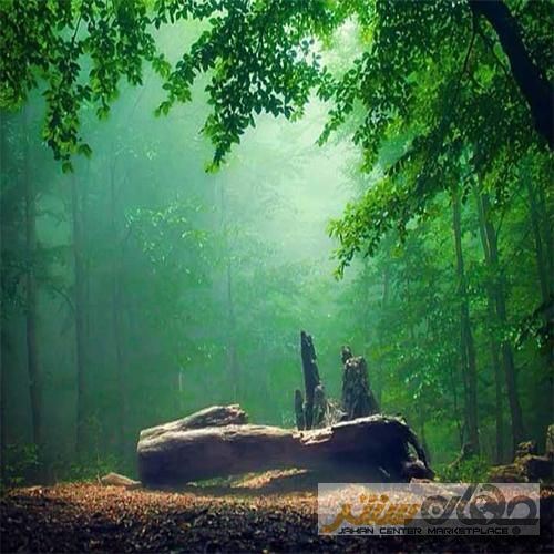 دانلود آهنگ شاید یه روز عوض بشم ولی حالا نه  جیدال و سامی بیگی و عرفان و مدگل 