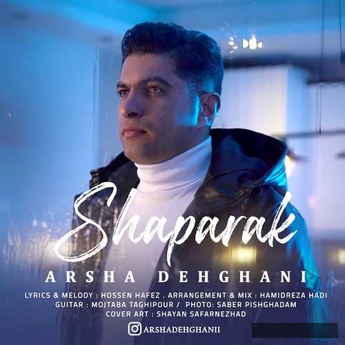 دانلود آهنگ صدام بزن هول شم بگم جانم یکم بهتر از قبل بشه حالم  ارشا دهقانی