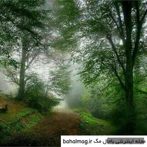 دانلود آهنگ آرومم با تو آرش ربیعی