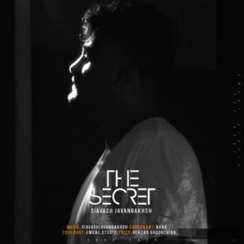 دانلود آهنگ راز سیاوش جوانبخش