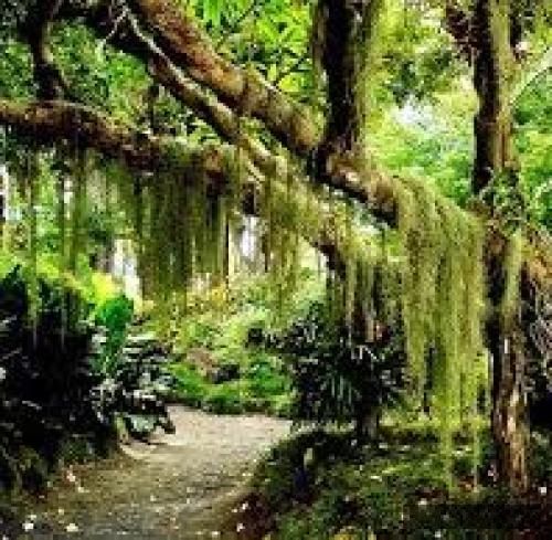 دانلود آهنگ با اینکه دور از وطنم درد می کشم واسه هم وطنم کید کید 021