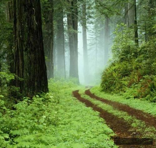 دانلود آهنگ  اوضاع بد شه هر چقدرم من دیگه نمی ترسم نمی سازم از اول هیپهاپولوژیست و کاگان