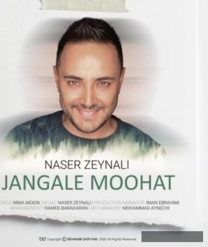 دانلود آهنگ جنگل موهات ناصر زینعلی