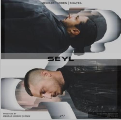 دانلود آهنگ سیل شایع مهران هیدن