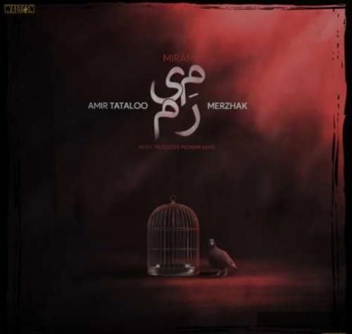 دانلود آهنگ میرم امیر تتلو