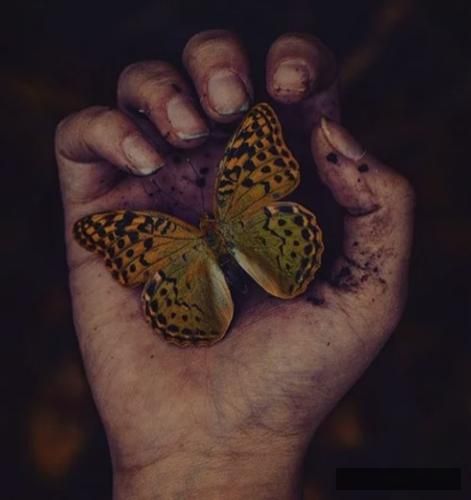 دانلود آهنگ تو مشتم جی لی سیجل