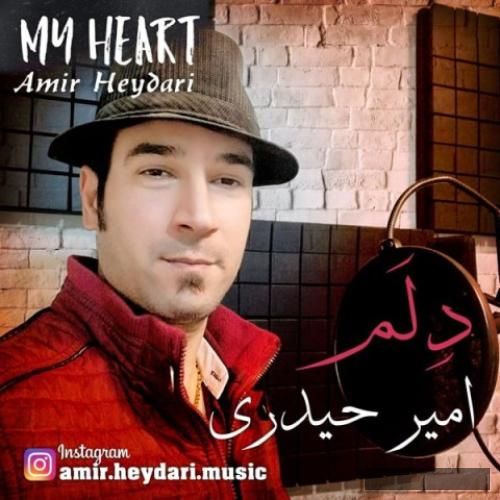 دانلود آهنگ دلم امیر حیدری
