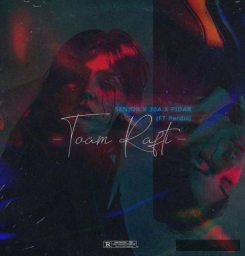 دانلود آهنگ توام رفتی سنیور