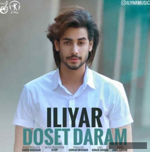 دانلود آهنگ دوست دارم ایلیار