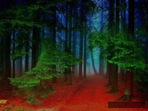 دانلود آهنگ ساز بهرام