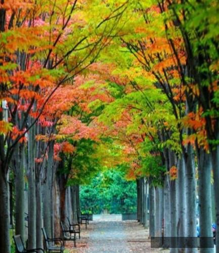 دانلود آهنگ وای هم اتاقی امیر رمضانی