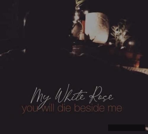 دانلود آهنگ رز سفید حامیم