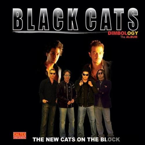 دانلود آهنگ خانم بلک کتس