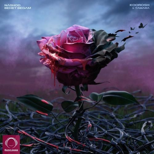 دانلود آهنگ نشد بهت بگم کوروش