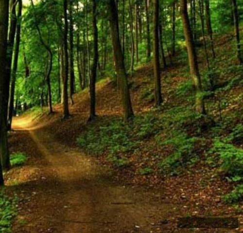 دانلود آهنگ لحظه خداحافظی حمیرا