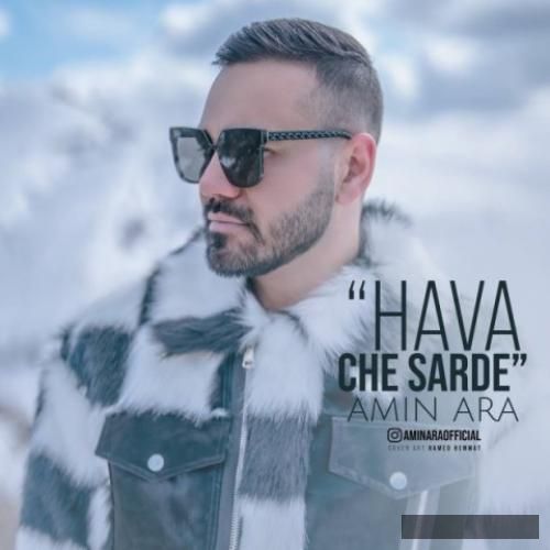 دانلود آهنگ هوا چه سرده امین آرا