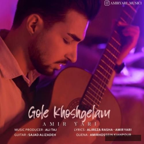 دانلود آهنگ گل خوشگلم امیر یاری