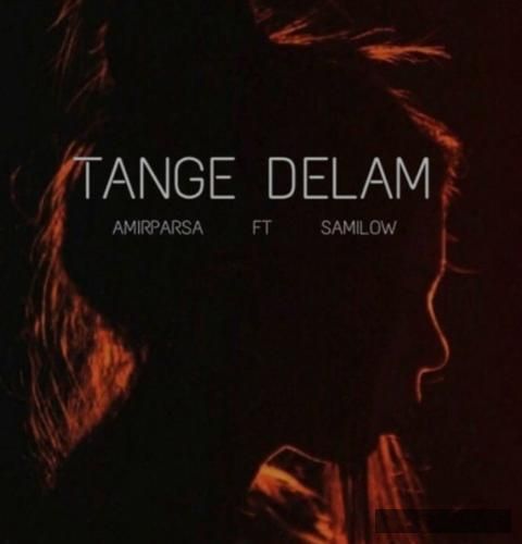 دانلود آهنگ تنگه دلم سامی لو امیر پارسا