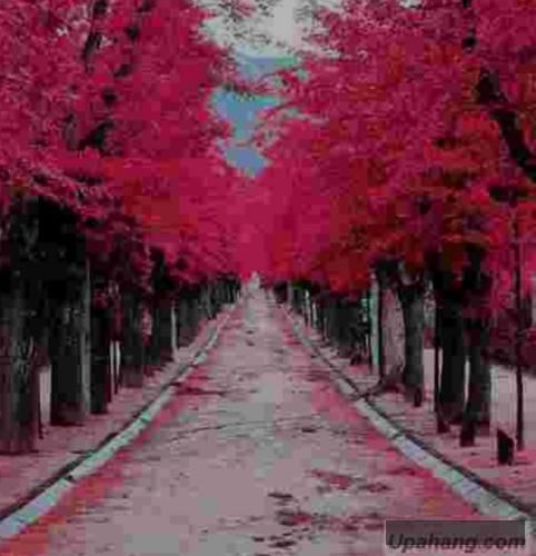 دانلود آهنگ Anxiety تهی پوبون