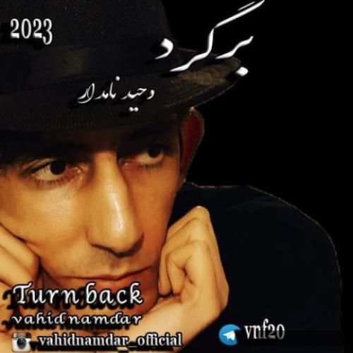 دانلود آهنگ برگرد وحید نامدار