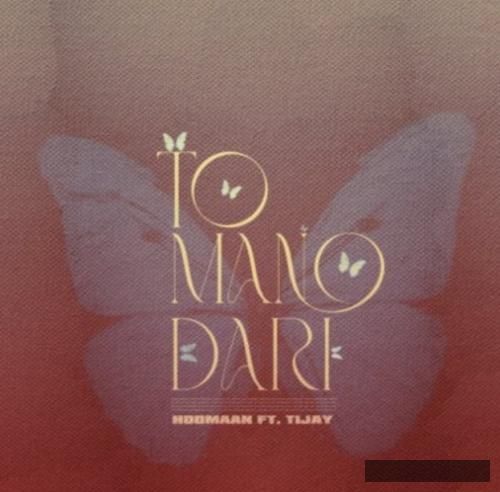 دانلود آهنگ تو منو داری هومان