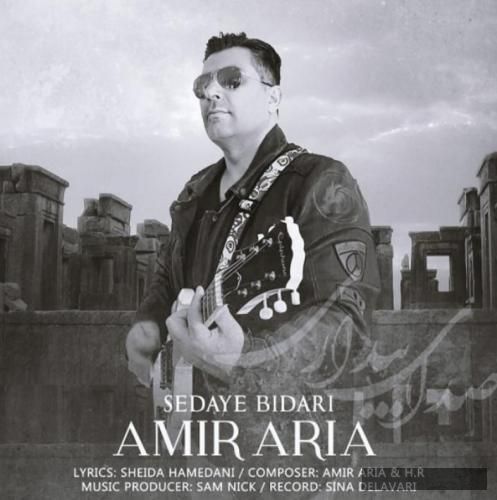 دانلود آهنگ صدای بیداری امیر آریا