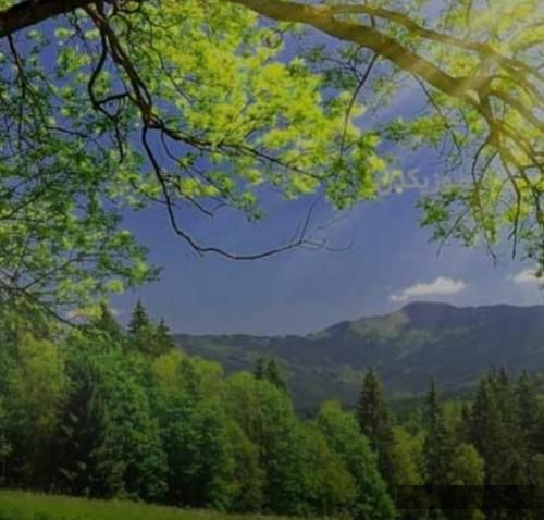 دانلود آهنگ چقدر رفتیم لیتو