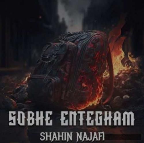 دانلود آهنگ صیح انتقام شاهین نجفی