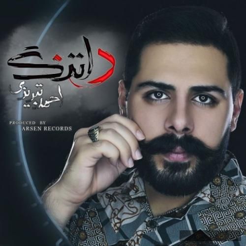 دانلود آهنگ دلتنگ احمد تبریزی