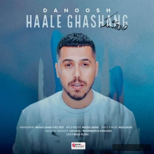 دانلود آهنگ حال قشنگ دانوش