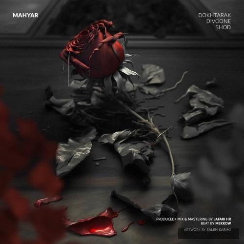 دانلود آهنگ دخترک دیوونه شد مهیار