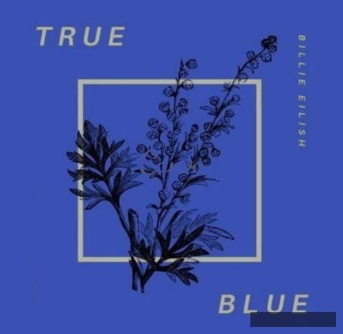 دانلود آهنگ True Blue بیلی آیلیش