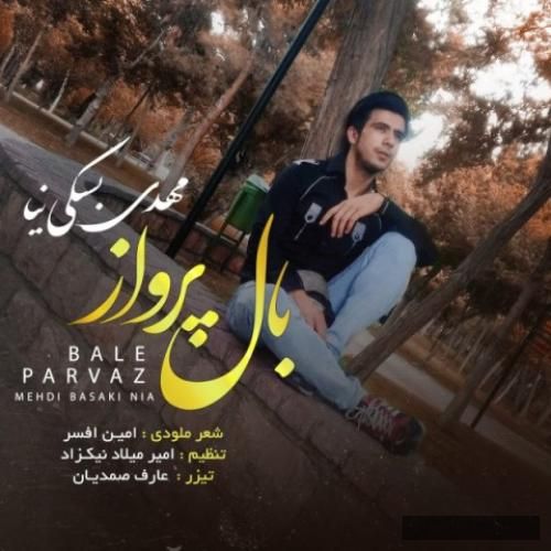 دانلود آهنگ بال پرواز مهدی بسکی نیا