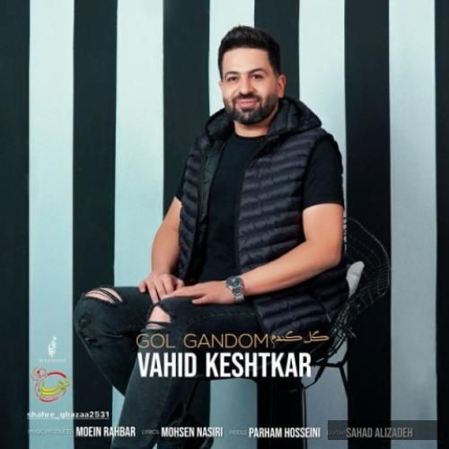 دانلود آهنگ گل گندم وحید کشتکار