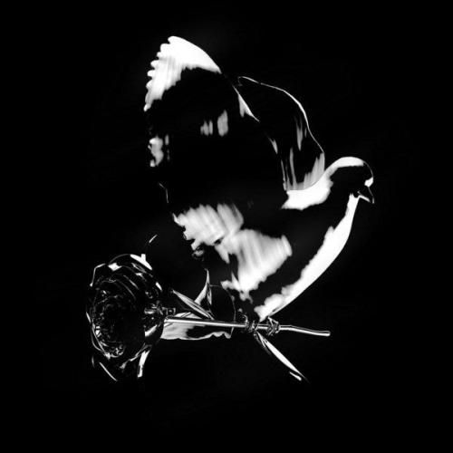 دانلود آهنگ وات یو نو بوت لاو پاپ اسموک