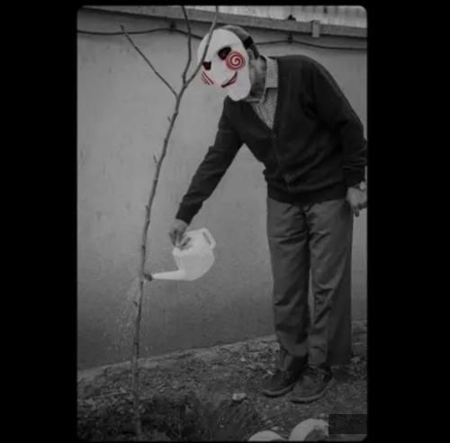 دانلود آهنگ نهال  سجادی