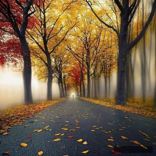 دانلود آهنگ مغلوب عشق تو منم عاشق عاشق شدنت لیلا فروهر