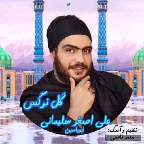 دانلود آهنگ گل نرگس علی اصغر سلیمانی