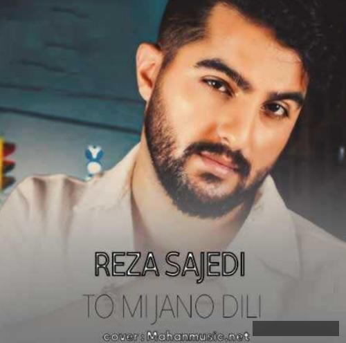 دانلود آهنگ تو می جانو دیلی رضا ساجدی