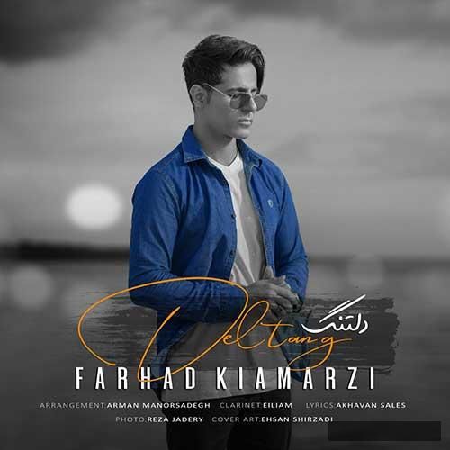 دانلود آهنگ دلتنگ فرهاد کیامرزی
