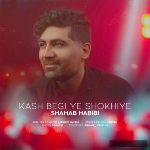 دانلود آهنگ کاش بگی یه شوخیه شهاب حبیبی