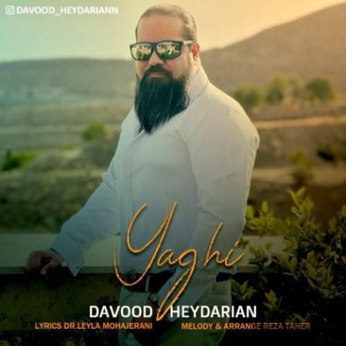 دانلود آهنگ یاغی داوود حیدریان