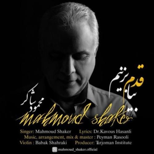 دانلود آهنگ بیا قدم بزنیم محمود شاکر