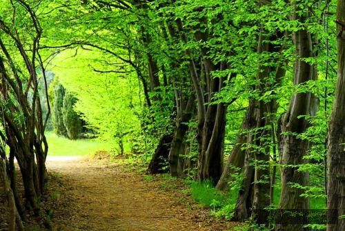 دانلود آهنگ کنکاش آنیتا