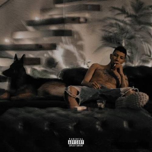 دانلود آهنگ ۵۲ هرتز چرسی