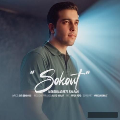 دانلود آهنگ سکوت محمدرضا شعبانی