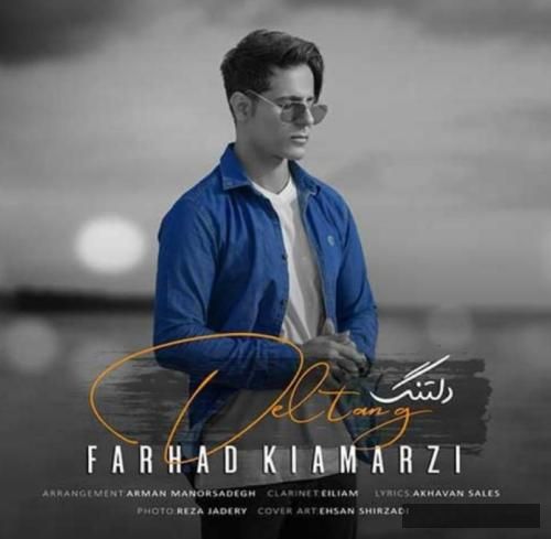 دانلود آهنگ دلتنگی فرهاد کیامرزی