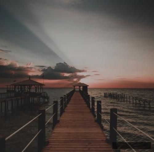 دانلود آهنگ یه شب یبار تو زندگیت دریا رو تنهاییبرو گوگوش