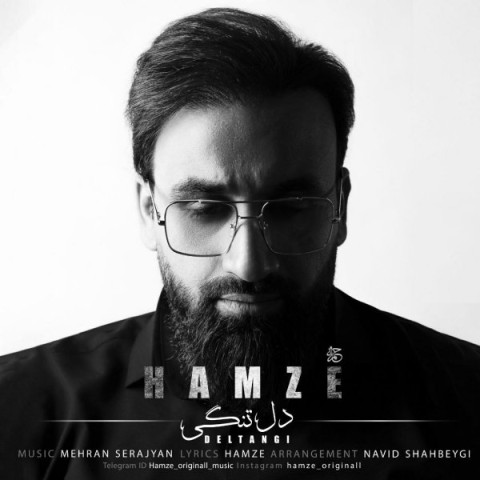 دانلود آهنگ دل تنگی حمزه